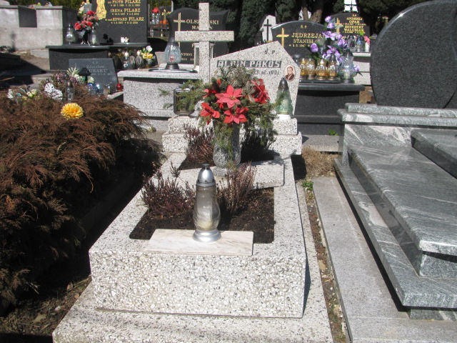 Grób Albin Pakos